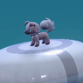 Rockruff - Swim