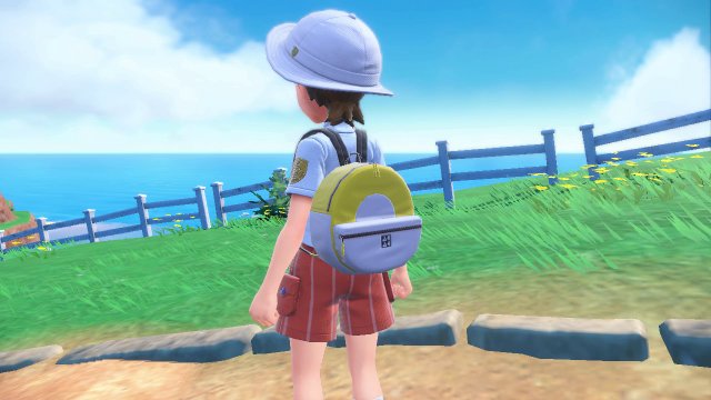 Canvas Backpack (Ultra Ball) Image