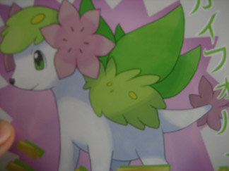 [PokeCommunity.com] New UNCONFIRMED shaymin form.