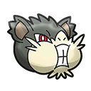 Alolan Raticate