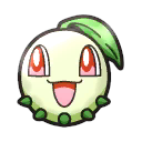 Chikorita