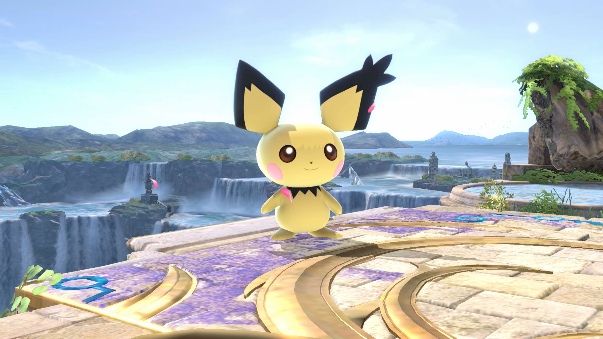 pichu6.jpg