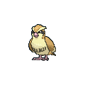 #016. Pidgey 016