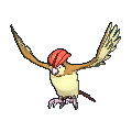 Pidgeotto