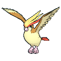 Pidgeot