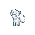 Penny - Alolan Vulpix (Lv. 13)