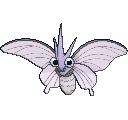 Venomoth