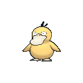 Psyduck