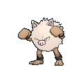 Primeape