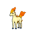 Ponyta