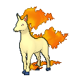 Rapidash