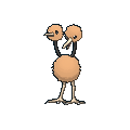 Doduo