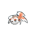 Goldeen