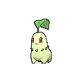 Chikorita