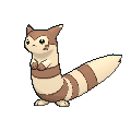 Furret