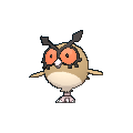 Hoothoot