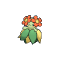 Bellossom