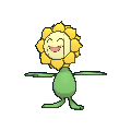 Sunflora