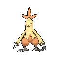 Combusken