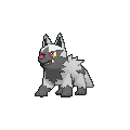 #261. Poochyena 261