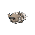 Zigzagoon