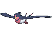 Swellow