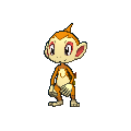 Chimchar