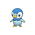 Piplup