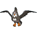 Staravia