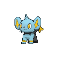 Shinx