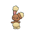 #427. Buneary 427