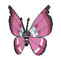 Vivillon