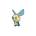 Cutiefly