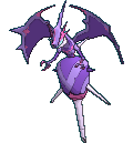 Poipole (UB Adhesive) • Competitive • 6IVs • Level 50 • Online