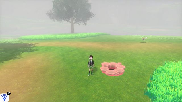 Rolling Fields - Pokémon Den