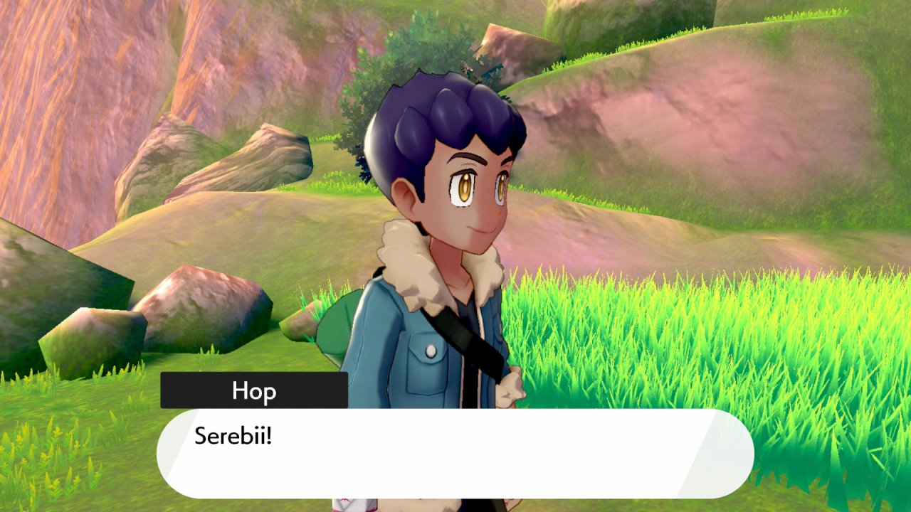 Hop  Pokémon Wiki  Fandom
