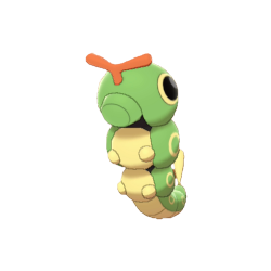 Caterpie