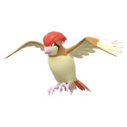 Pidgeotto