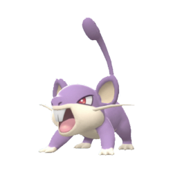 Rattata