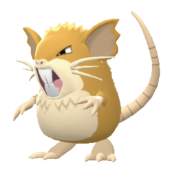 Raticate