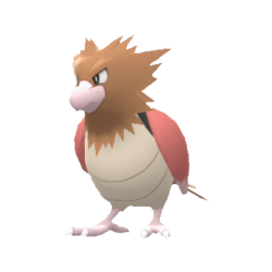 Spearow