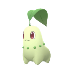 Chikorita