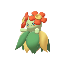 Bellossom