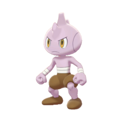 Kiyo's Hitmonchan, International Pokédex Wiki