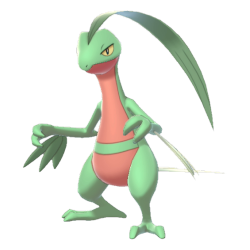 Kit Pokémon Sceptile Grovyle Treecko Tempestade Celestial