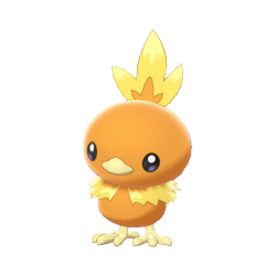 Torchic