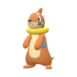 Buizel