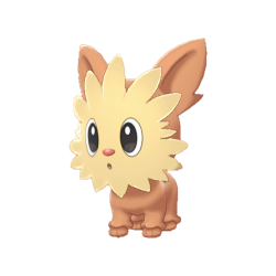 Lillipup