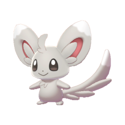 Minccino