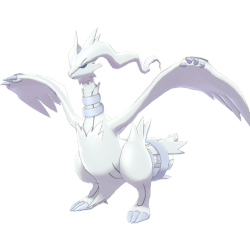 Pokemon reshiram zekrom 284